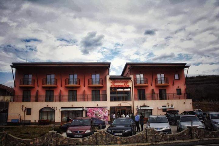 Pensiunea Sanella Liubcova Exterior foto